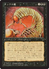 Takklemaggot - JAPANESE