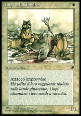 Tundra Wolves (Lupi della Tundra)