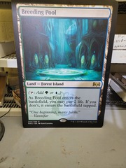 Breeding Pool - Giant Magicfest Card