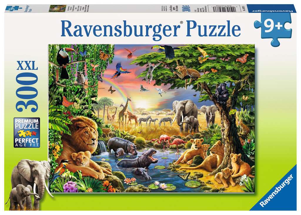 Evening at the Waterhole