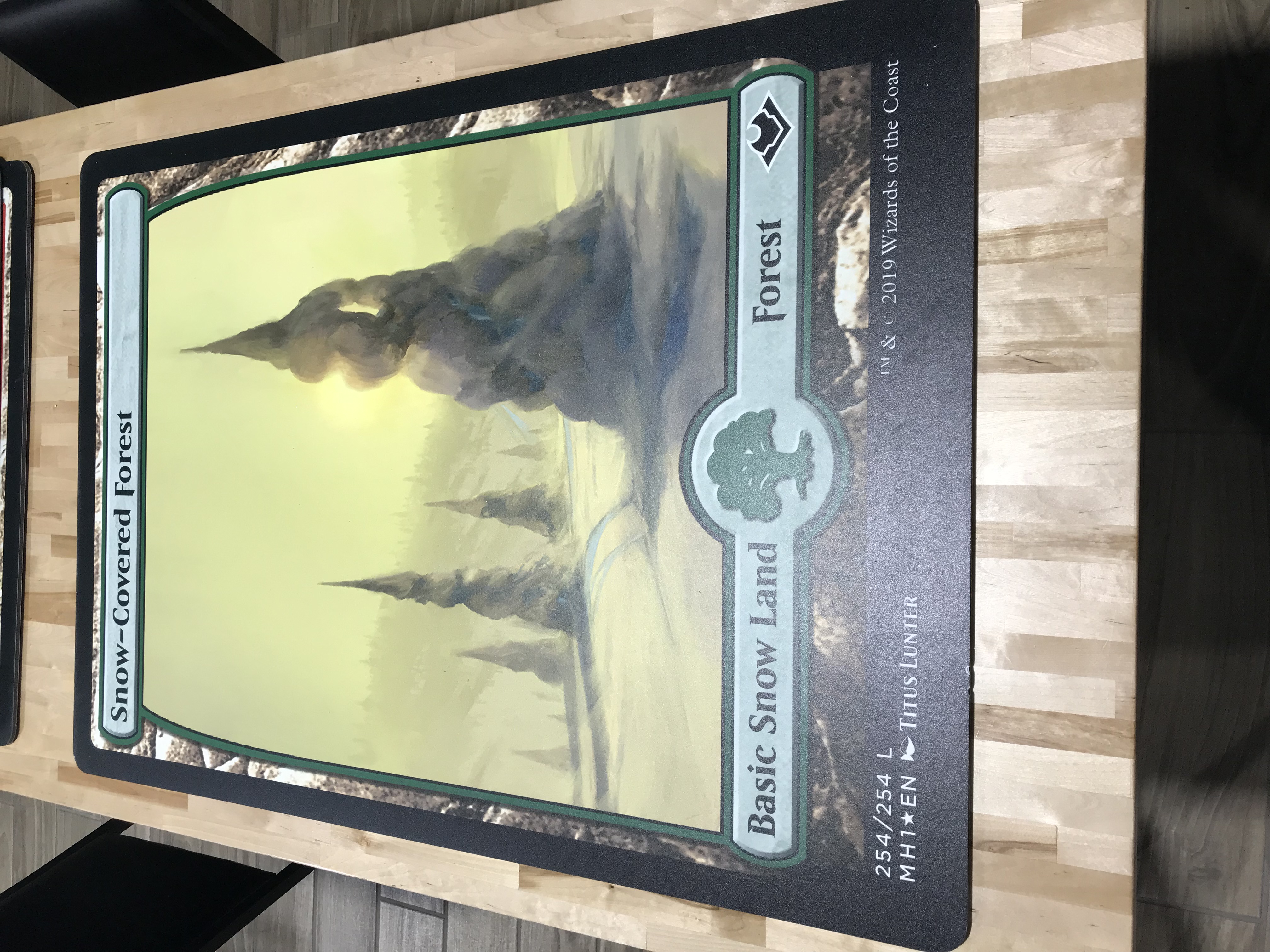 Snow-Covered Forest - Giant Magicfest Card