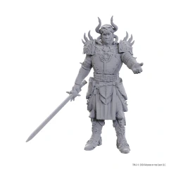 D&D Nolzur's Marvelous Miniatures: Special Edition Baldur's Gate 3 — Sarevok Anchev & Raphael