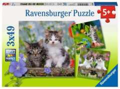 3 x 49 piece puzzle: Tiger Kittens