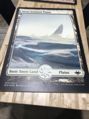 Snow-Covered Plains - Giant Magicfest Card