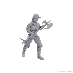 D&D Nolzur's Marvelous Miniatures: Special Edition Baldur's Gate 3 — Wyll & Karlach