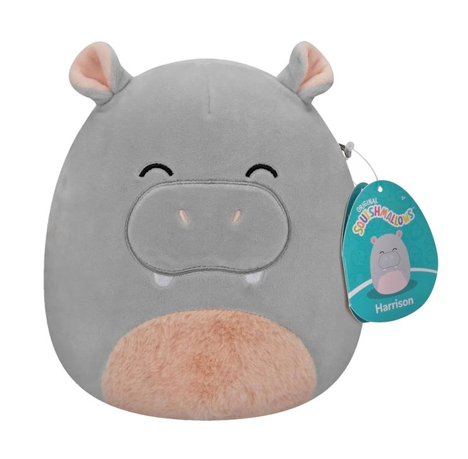 Squishmallow 5 - Harrison the Hippo