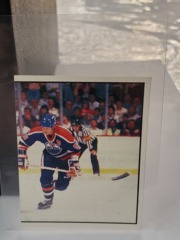 1988-89 Panini NHL Hockey Stickers #179 Wayne Gretzky