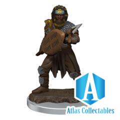 D&D Human Fighter Premium Painted Figure Sealed