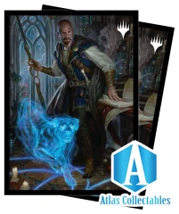 100CT STANDARD SIZE SLEEVES MTG FORGOTTEN REALMS MORDENKAINEN (18760)