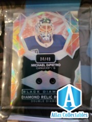 2020-21 UD BLACK DIAMOND RELIC ROOKIE MICHAEL DIPIETRO DOUBLE RUBY /49