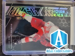 Gustav Lindstrom 20/21 Upper Deck BLACK Obsidian Rookie /349