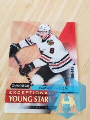 2020-21 UD Synergy Exceptional Young Stars #EY-25 Dominik Kubalik 166/449 Acetate
