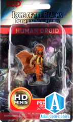 D&D Human Druid HD Premium Painted Figure Sealed