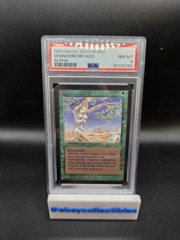 ALPHA Shanodin Dryads PSA 8 Graded Magic MTG