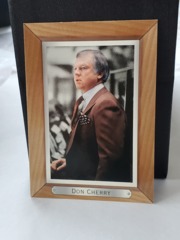 2003-04 Upper Deck Bee Hive Don Cherry #17
