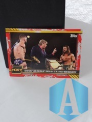 2021 Topps WWE NXT #65 Adam Cole Finn Balor Finish Tied in 4-Way Iron Man Match 13/25 Red