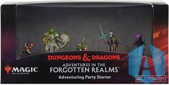 Adventures in the Forgotten Realms - Adventuring Party