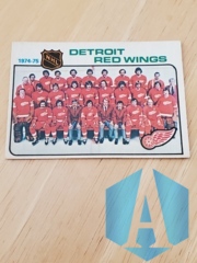 1974-75 O-Pee-Chee #87 Detroit Red Wings Team Checklist