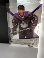 2008-09 Upper Deck Ice Premieres 378/499 Acetate Wayne Simmonds #151 Kings