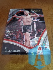 2022 Panini Select UFC Silver Disco Prizm Octagonside #225 TJ Dillashaw