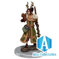 D&D Human Druid Premium Painted Figure Sealed