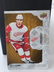 2019-20 Upper Deck Engrained Filip Zadina #77 Rookie 192/299 Detroit Red Wings