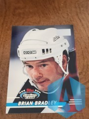 1993-94 Stadium Club 1st Day Issue #212 Brian Bradley