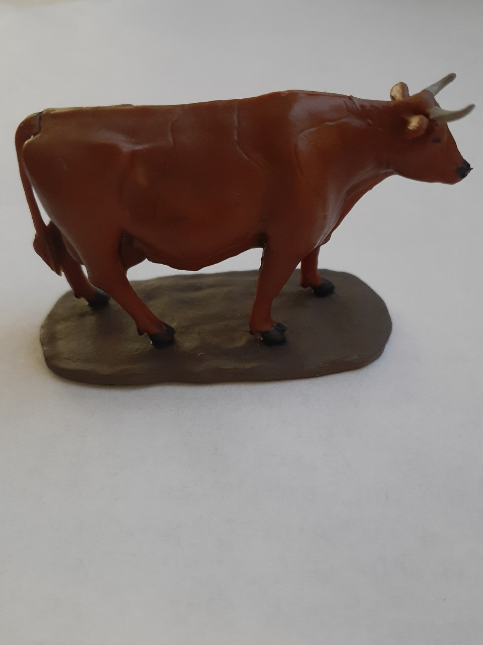 Cow MERCHANTS ROW