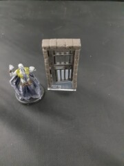 Cell Door