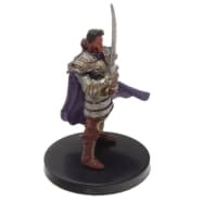 Human Paladin