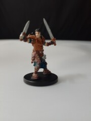 Valeros Human Fighter Beginner Box Set