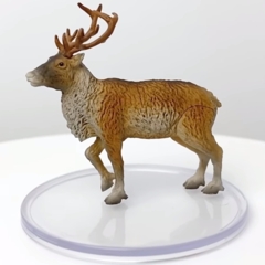Reindeer