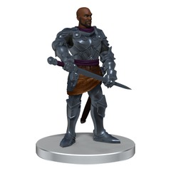 Paladin  VOICES OF THE REALMS: BAND OF HEROES