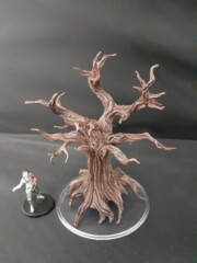 Awakened Tree Snowbound