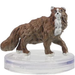 Cat      D&D WILD SHAPE & POLYMORPH SET 1
