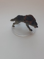 Dire Wolf GOBLIN CAMP ICONS OF THE REALMS