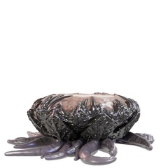 Spawning Pool MINDFLAYER VOYAGER