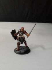 Dragonborn Paladin Wardling Mnis