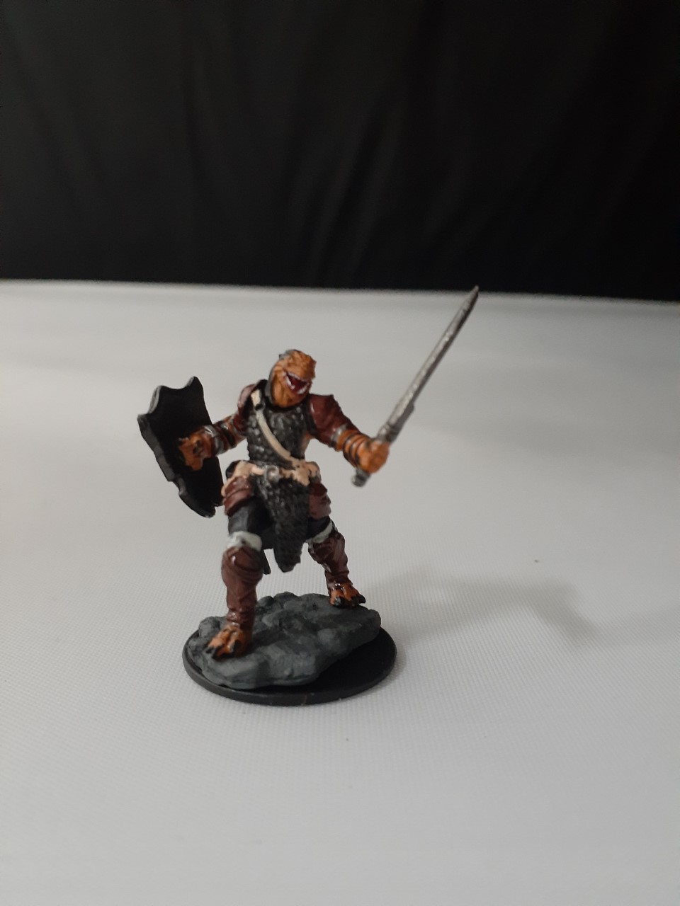 Dragonborn Paladin Wardling Mnis