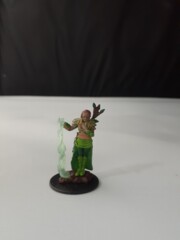 Human Druid Wardling Minis