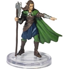 Qualnesti Elf DRAGONLANCE - SHADOW OF THE DRAGON QUEEN