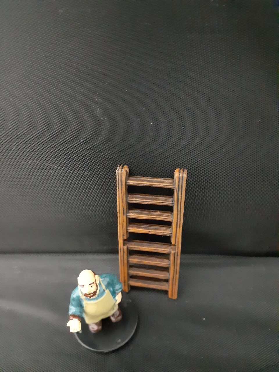 Short Ladder