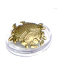 Hoard Scarab  FIZBAN'S TREASURY OF DRAGONS