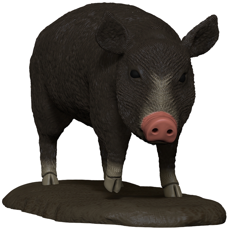 Pig MERCHANTS ROW