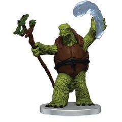 Tortle Druid SEAS & SHORES