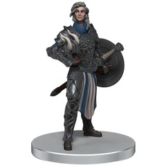Becklin, Knight of Solamnia  DRAGONLANCE - SHADOW OF THE DRAGON QUEEN