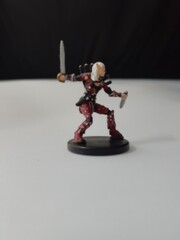 Merisiel Elf Rogue Beginner Box Set