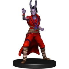 Hellspawn Monk DARKLANDS RISING Pathfinder miniature