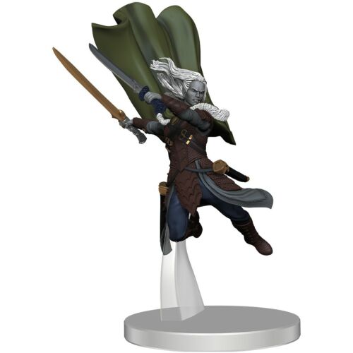 Drizzt DoUrden From Companions of the Hall Starter