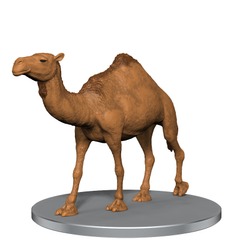Camel SAND AND STONE